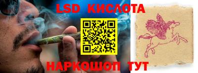 индика Моздок