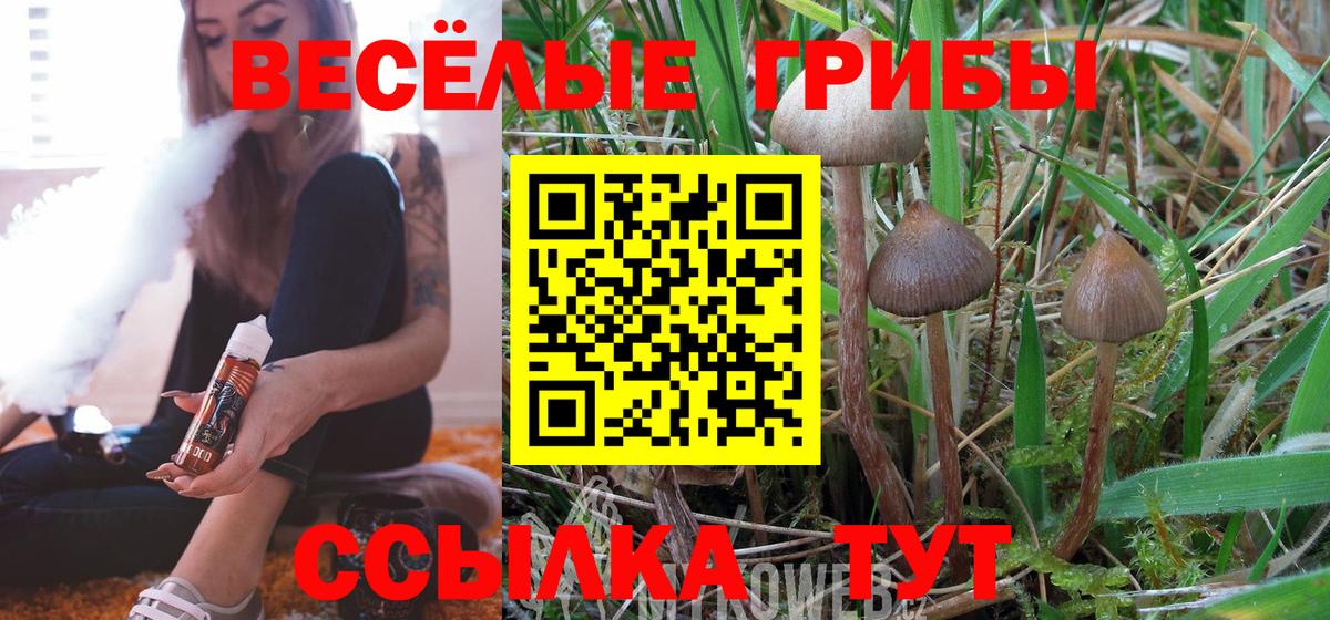 Галлюциногенные грибы Psilocybe Туймазы