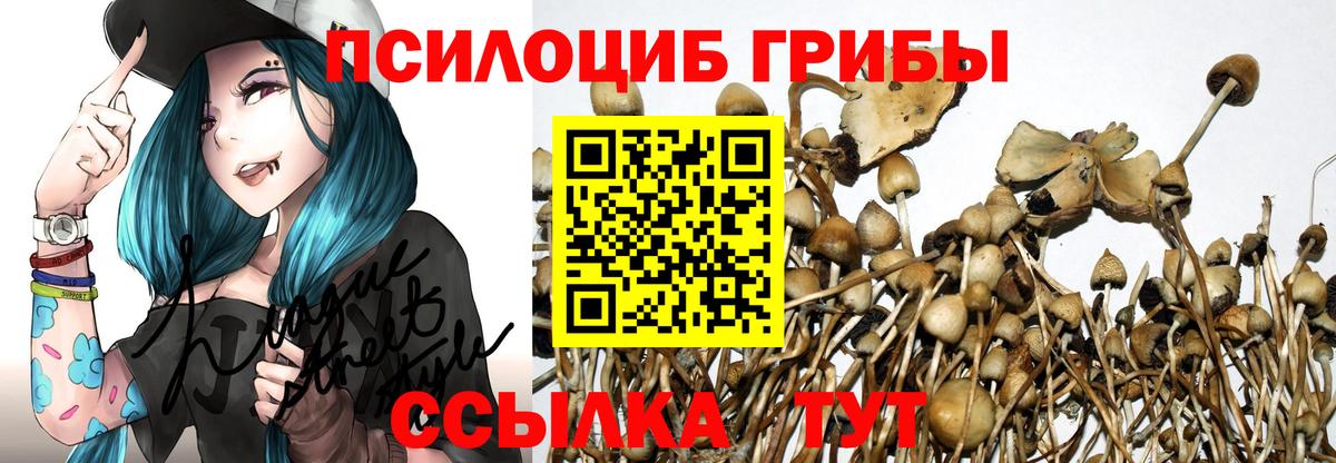 Галлюциногенные грибы MAGIC MUSHROOMS  Вход с VPN  сколько стоит  Туймазы 