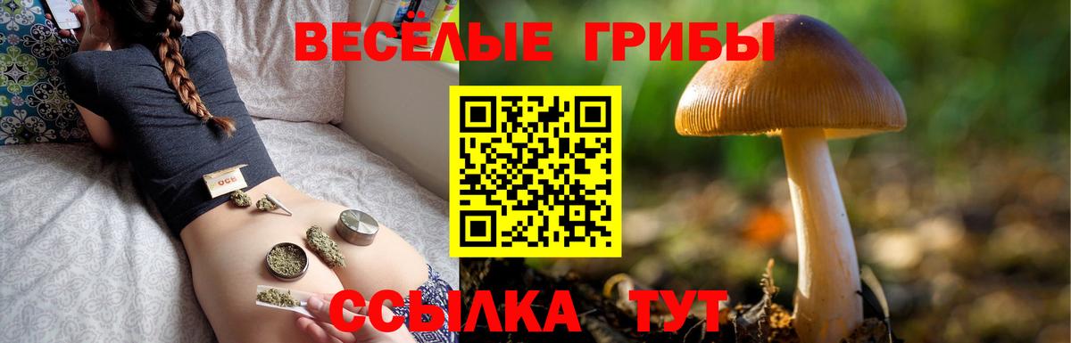 Марихуана  Туймазы  Меф МЯУ МЯУ кристаллы  Гашиш  ГАШИШ  Вход с VPN 